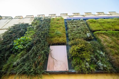 Florence, İtalya - Ekim, 2017. Şaşırtıcı Floransa - seyahat fotoğraf dizi İtalya