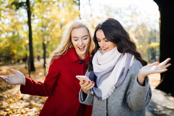 Euphorische Freunde, die Videos auf dem Smartphone schauen und auf den Bildschirm zeigen, überrascht im Herbstpark — Stockfoto