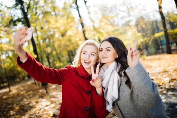 Dois bela jovem mulher tomando selfie no outono dia parque — Fotografia de Stock