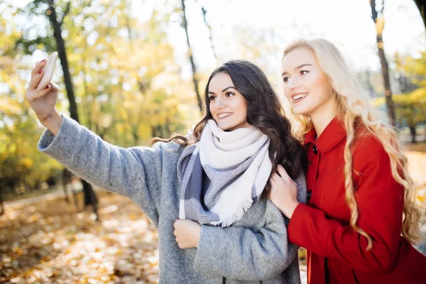 Dois bela jovem mulher tomando selfie no dia de outono no parque — Fotografia de Stock