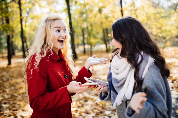 Porträt zweier lachender Frauen, die sich im herbstlichen Park unterhalten — Stockfoto