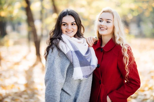 两位年轻女子在秋季公园合影的户外肖像 — 图库照片