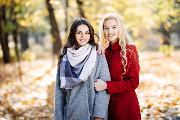 两位年轻女子在秋季公园合影的户外肖像 — 图库照片
