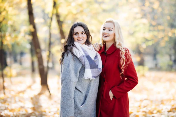Außenporträt zweier junger Frauen, die im herbstlichen Park posieren — Stockfoto