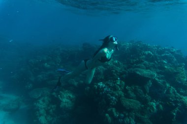 Genç kadın snorkling su deniz resif ve mercan altında. Yaz meslek.