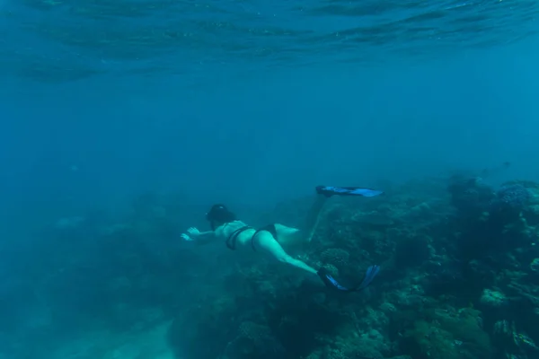 Onderwater foto van vrouw snorkelen en gratis duiken in een duidelijk tropisch water bij koraalrif. Zee onderwater. — Stockfoto