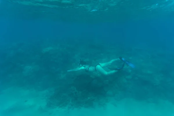 Onderwater foto van vrouw snorkelen en gratis duiken in een duidelijk tropisch water bij koraalrif. Zee onderwater. — Stockfoto