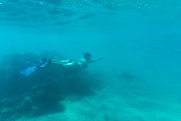 Mujer joven buceando bajo el arrecife marino y coral. Vocación de verano . — Foto de Stock