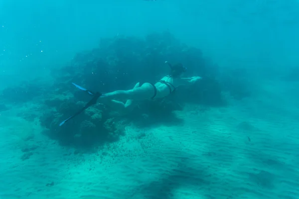 젊은 여자는 물 바다 암초 및 산호초에서 스노클링. 여름 직업. — 스톡 사진