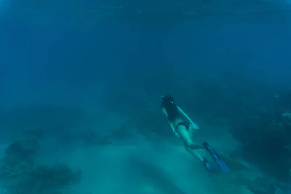 水海のサンゴ礁やサンゴの下で若い女性のスノーケリング。夏休み. — ストック写真