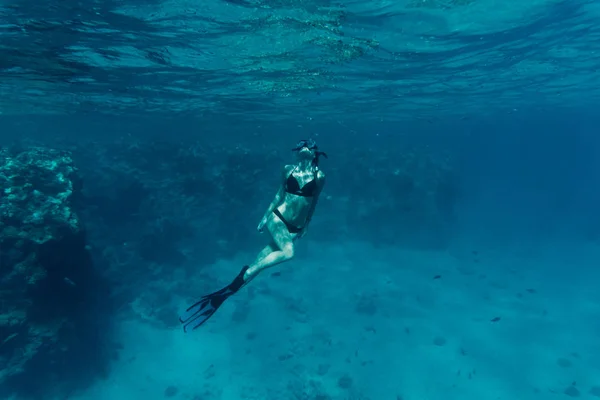 Tiro subaquático da mulher jovem que desliza sobre o recife de coral vívido em um porão de respiração — Fotografia de Stock