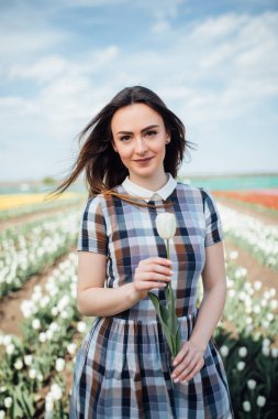Beyaz Lale Lale alanındaki elinde olan güzel kadın
