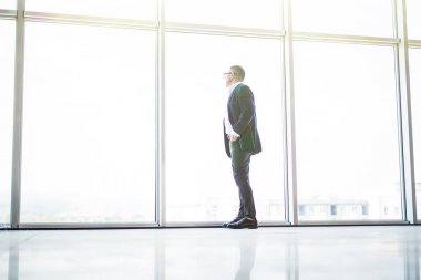 Kıdemli neşeli işadamı ofisinde skycrappers pencerede bak