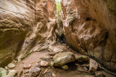 Kıbrıs'ta Avakas Gorge. Little Nehri ön planda arka planda güneşli taşlar.