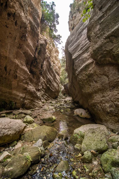 Bella Valle Avakas Gorge Durante Trekking Sull Isola Cipro — Foto Stock