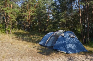 Bir çam ormanı çadırda turizm