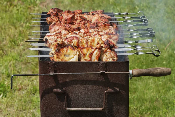 Grilled skewers on the grill, outdoor. — Stock Photo, Image