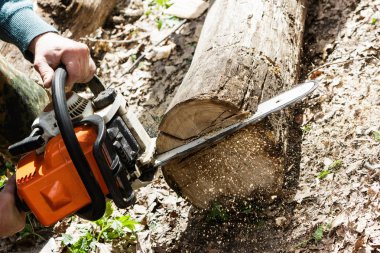 Adam ahşap günlük testere ile kesme.