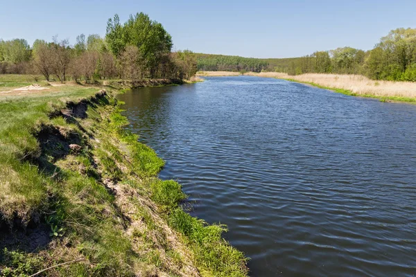 Nehirli yaz manzarası