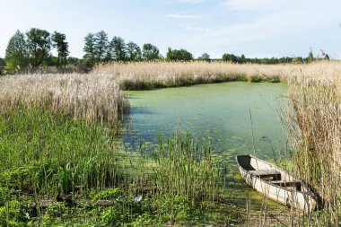 Küçük gölet yaz manzara eski teknede.