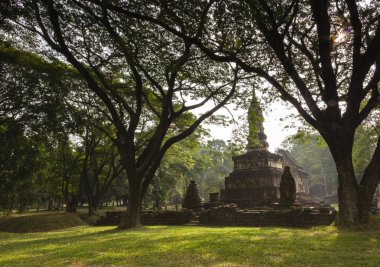 Antik tapınak ve büyük ağaçlar Sukhothai Historical Park, T