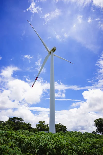 the wind turbine in the cassava field, beautiful sky background