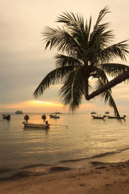 alacakaranlık gökyüzü denize, Koh Tao, Tayland