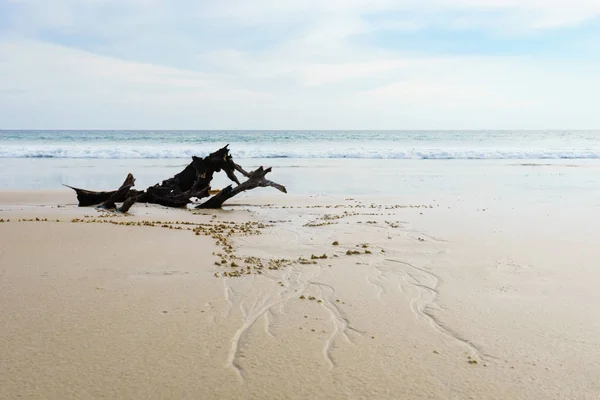 Una hermosa playa de arena con fondo cielo nublado —  Fotos de Stock