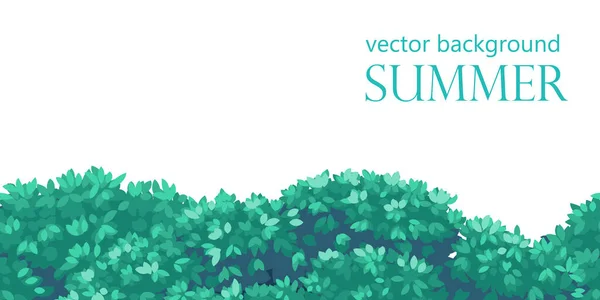 Seamless green bushes. Background bush leaves, vector bush — Stock Vector