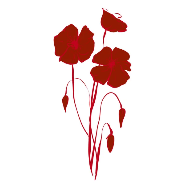 Červené máky Vektorové květiny, abstraktní květiny na bílém pozadí. Soubor vektoru. — Stockový vektor