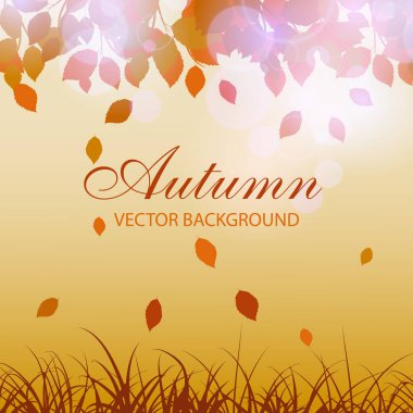 Sonbahar. Sarı arka plan. Kırmızı yapraklı sonbahar arkaplanı. Yapraklar çimlere düşer..