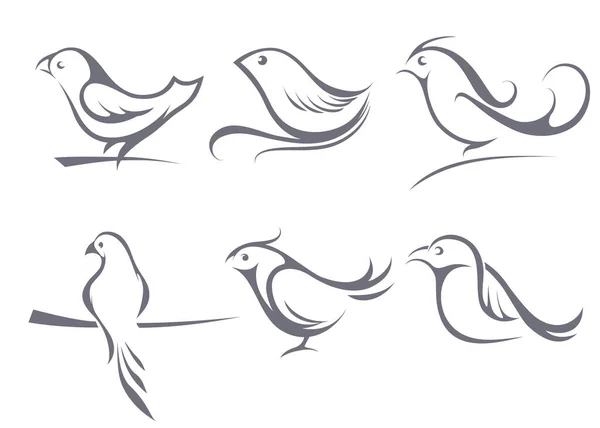 Las imágenes de los pájaros, el contorno, los tatuajes, la línea. Vector — Vector de stock