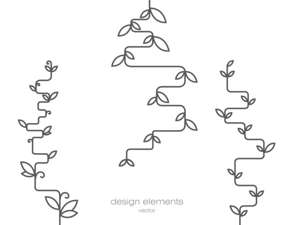 Liana geométrica con hojas. Diseñar objetos. Fondo de vectores — Archivo Imágenes Vectoriales