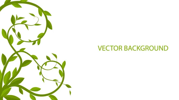 Green leaves on white background, vector leaves. — Stock Vector