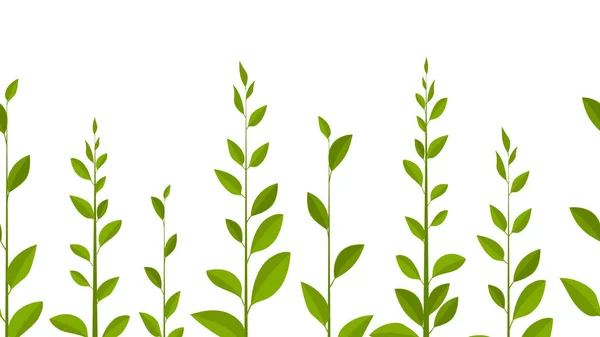 Зелене листя на білому тлі, векторне листя. Природні — стоковий вектор