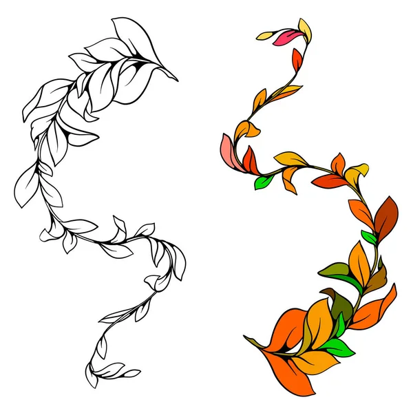 Decorative ornament with leaves. Vector decorative branch. — Stock Vector