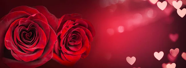 Valentine karty - růže — Stock fotografie