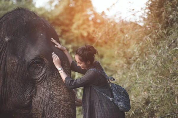 La chica sonriente abraza a un elefante — Foto de Stock