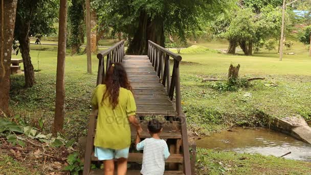 Anne ve oğlu oyun ve orman içinde ahşap köprü üzerinde yürüyen — Stok video