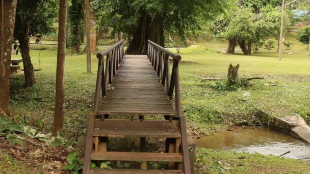 Gerçek güzellik kadın ormanda doğal eski köprünün üzerinde yürüyen — Stok video