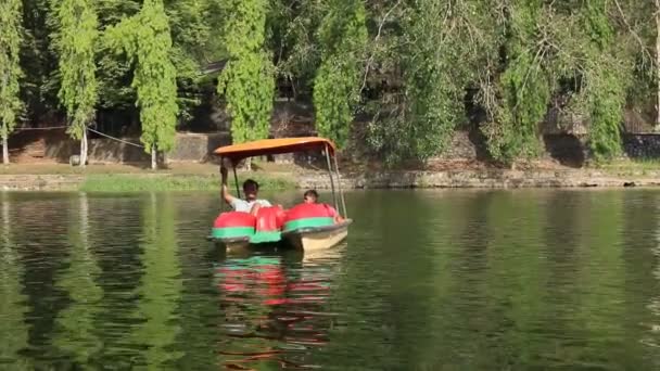 Батько і син грають у водяний велосипед у парку — стокове відео