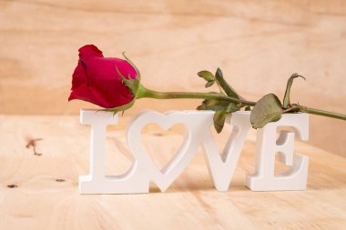 kavram Sevgililer günü, kırmızı gül ve metin sevgi 