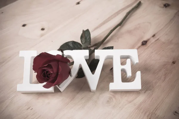 Concept Saint Valentin, rose rouge et texte amour — Photo