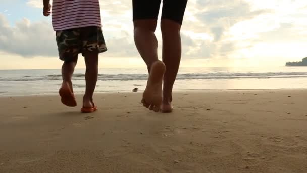 Gelukkige familie wandelen en spelen op het strand — Stockvideo