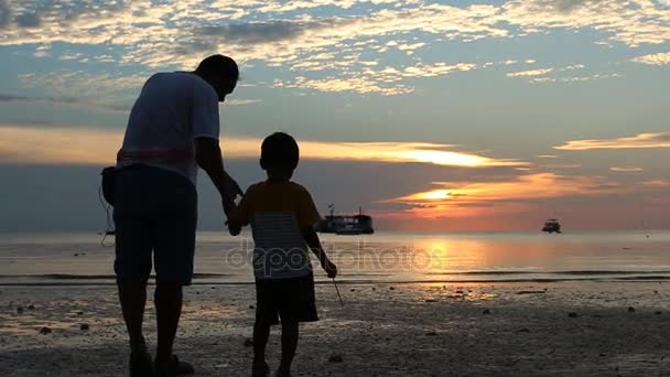 Heureux père et fils marchant et jouant en mer — Video