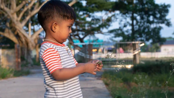 Χαριτωμένο Μικρό Ασιατικό Αγόρι Παίζουν Στο Πάρκο — Φωτογραφία Αρχείου