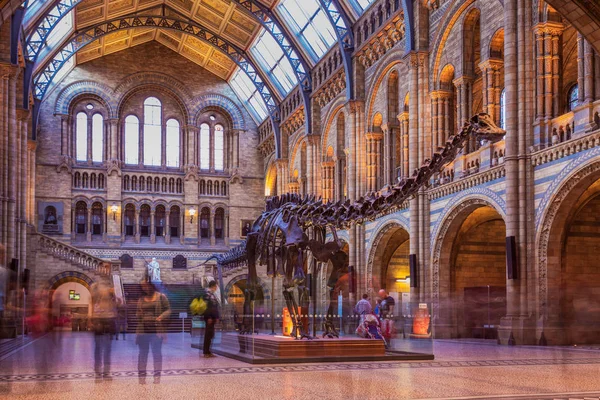 London Vereinigtes Königreich April Innenansicht Des Natural History Museum April — Stockfoto