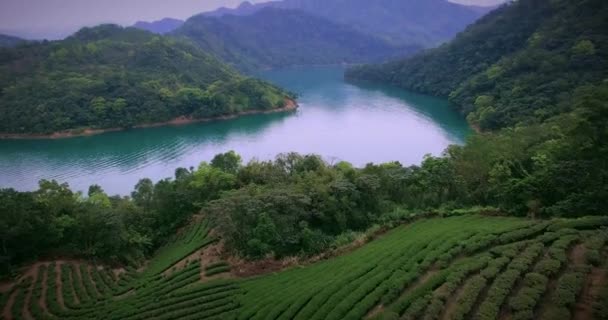 Аэросъемка Нефритового Водохранилища Тайбэе Тайвань Крупные Водохранилища Снабжающие Водой Тайбэй — стоковое видео