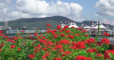 Ita Thao Rıhtımı, Güneş Ay Gölü, Tayvan 'daki teknede turistlere doğru yol alıyoruz.