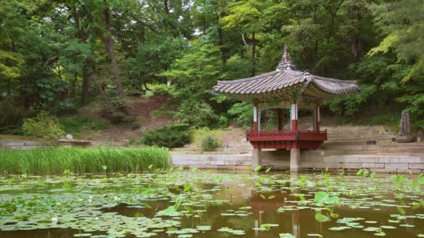 Pavyonlar Alace Sarayı Nın Huwon Secret Garden Içinde Seoul Güney — Stok video